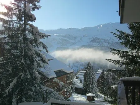 Apt 2 pièces pour 4 pers, à 150m des pistes, Méribel - Photo 17