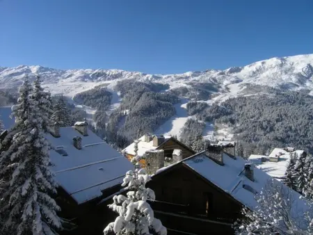 Apt 2 pièces pour 4 pers, à 150m des pistes, Méribel - Photo 19