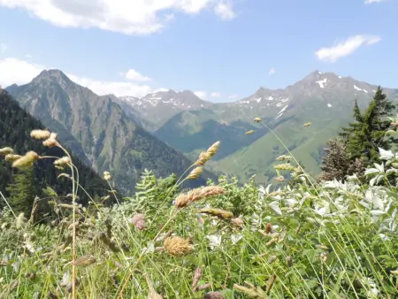 Appartement 6/8 personnes Centre Ville Cauterets - Photo 14
