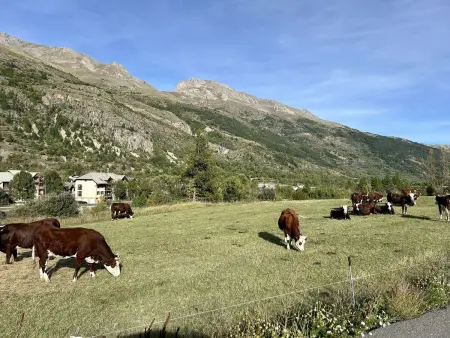 Appartement 3 pièces 7 pers avec parking à Monêtier-les-Bains - Photo 24