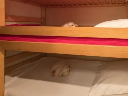 Studio au calme, 4 pers, proche pistes, balcon sud, parking privé, Monêtier-les-Bains - Photo 5