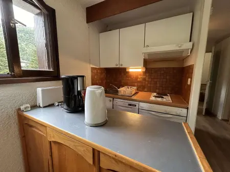 Studio avec coin montagne - 4 pers, à 100m des télécabines, piscine, parking, casier à ski - Photo 12