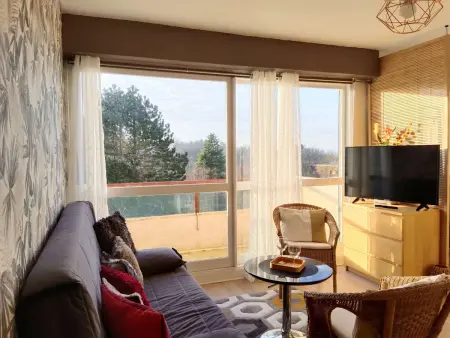 Appartement calme avec balcon et WIFI à Villers-sur-Mer - Photo 3