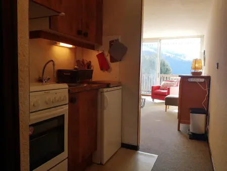 Appartement 2 pièces, animaux admis, parking à Notre-Dame-de-Bellecombe - Photo 9