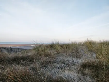 Charmant T2 à Stella-plage, proche mer, tout confort - Photo 9