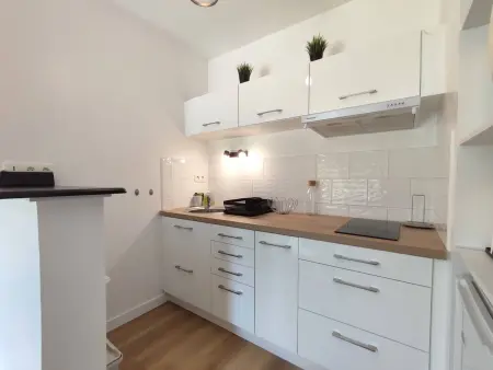 Appartement avec WIFI, terrasse, jardin, parking privé à 800m de la plage à Trébeurden - Photo 2