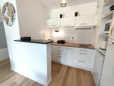 Appartement avec WIFI, terrasse, jardin, parking privé à 800m de la plage à Trébeurden - Photo 9