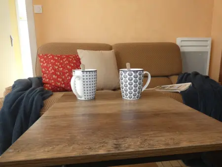 Appartement lumineux à 100m de la plage, balcon et animaux admis - Photo 5
