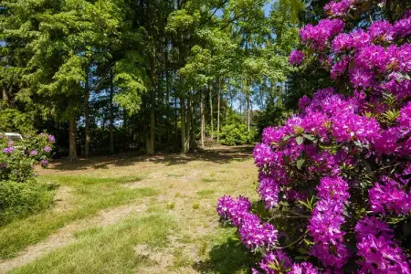 Het Boshuis, Chalet très confortable avec un immense jardin, situé au calme dans le vert Arendonk - Photo 29