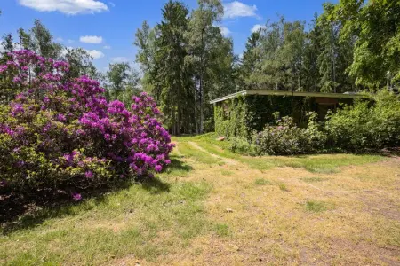 Het Boshuis, Chalet très confortable avec un immense jardin, situé au calme dans le vert Arendonk - Photo 31