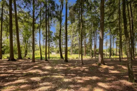 Het Boshuis, Chalet très confortable avec un immense jardin, situé au calme dans le vert Arendonk - Photo 35