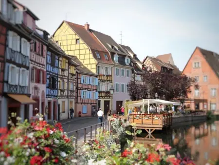 Appartement lumineux à Colmar avec terrasse, parking et WiFi – 5 min du centre - Photo 12