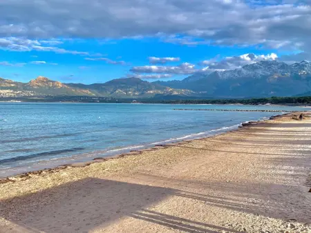 Studio confortable à Calvi - Accès plage, parking inclus, linge fourni - Photo 13
