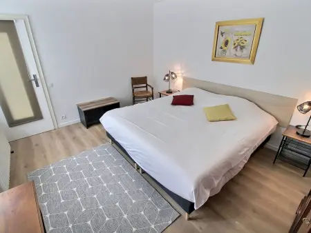 Appartement spacieux à Colmar avec terrasse, garage privatif, proche centre et gare - Photo 9