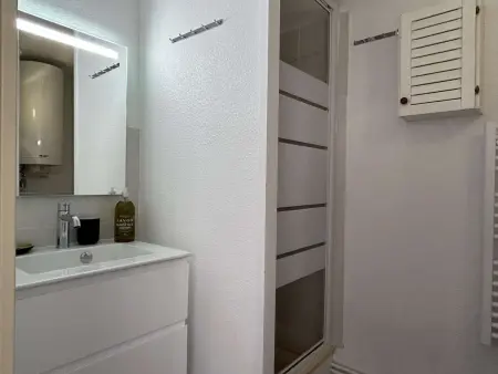 Appartement studio proche port avec terrasse à Banyuls-sur-Mer - Photo 11