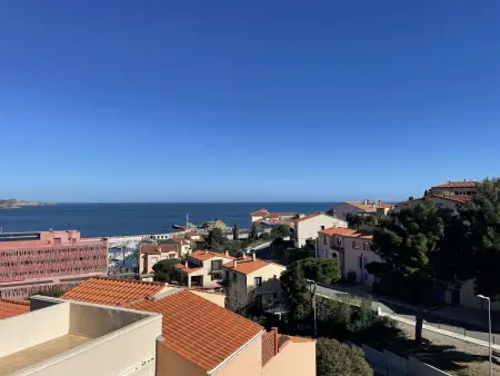Appartement studio proche port avec terrasse à Banyuls-sur-Mer - Photo 13
