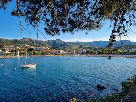Appartement studio proche port avec terrasse à Banyuls-sur-Mer - Photo 14