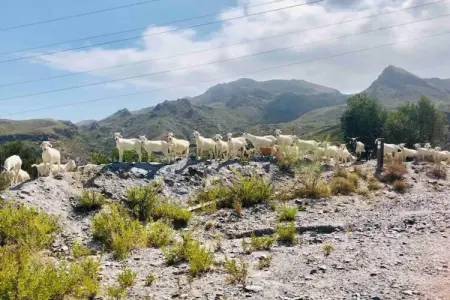 Casa Montaña de Alegria, Vue tranquille à Pedreguer - Photo 30