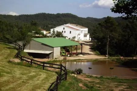 Mas Set Rengs 3, Chalet dans une ferme près d'un lac, Pyrénées - Photo 15