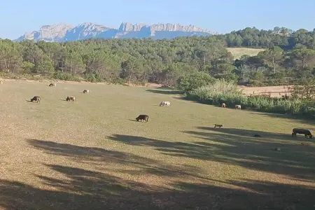 Mas Set Rengs 3, Chalet dans une ferme près d'un lac, Pyrénées - Photo 16