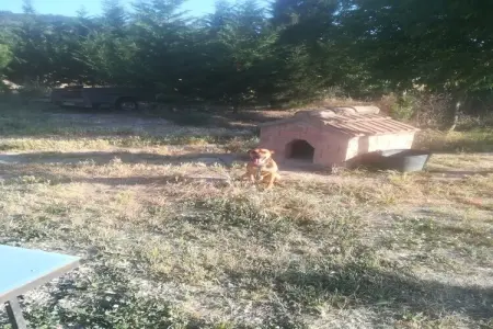 Cal Xelin, Maison de campagne indépendante du 19ème siècle. - Photo 18