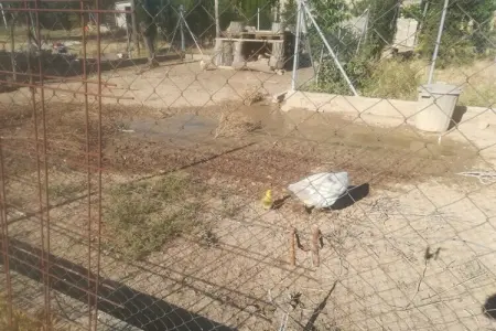Cal Xelin, Maison de campagne indépendante du 19ème siècle. - Photo 22