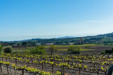 La Masia de Cal Badia, Luxueuse demeure en Catalogne avec jardin et vue panoramique - Photo 28