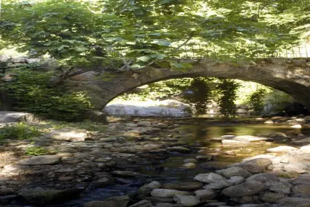 Casas Rurales Acebuche Picual, Retraite au bord du lac à Casas del Monte - Photo 34