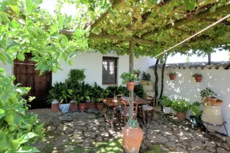 Cortijo El Morron, Gמte א Fuentes de Cesna avec piscine - Photo 12