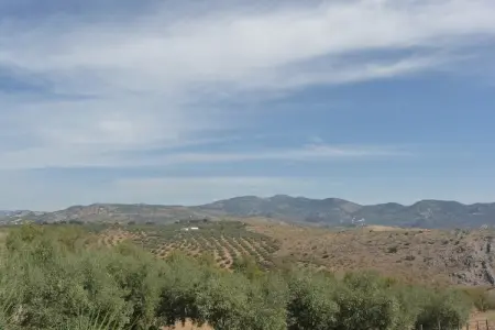 Cortijo El Morron, Gמte א Fuentes de Cesna avec piscine - Photo 35