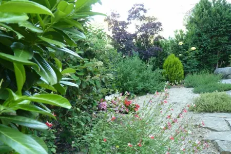Casa Vella, Maison de campagne au pied des Pyrénées - Photo 15
