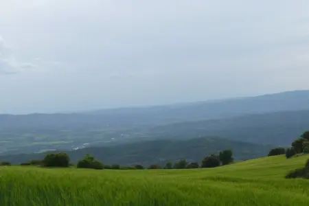 Casa Vella, Maison de campagne au pied des Pyrénées - Photo 18