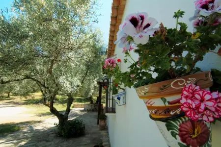 Cortijo Los Olivos, Gîte à Antequera avec piscine près d'El Torcal - Photo 19