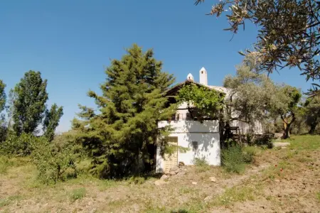 Cortijo Los Olivos, Gîte à Antequera avec piscine près d'El Torcal - Photo 20