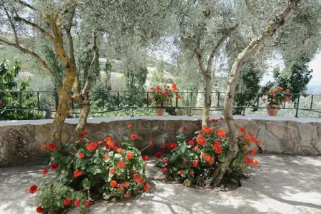 Cortijo Los Olivos, Gîte à Antequera avec piscine près d'El Torcal - Photo 21
