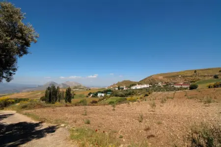 Cortijo Los Olivos, Gîte à Antequera avec piscine près d'El Torcal - Photo 22