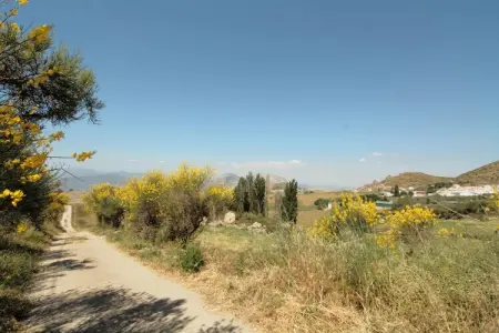 Cortijo Los Olivos, Gîte à Antequera avec piscine près d'El Torcal - Photo 23