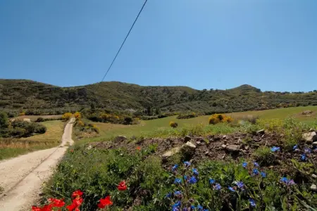 Cortijo Los Olivos, Gîte à Antequera avec piscine près d'El Torcal - Photo 26