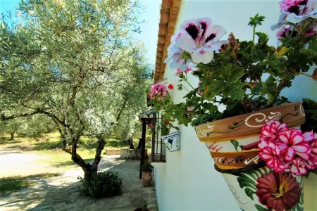Cortijo Los Olivos, Gîte à Antequera avec piscine près d'El Torcal - Photo 27