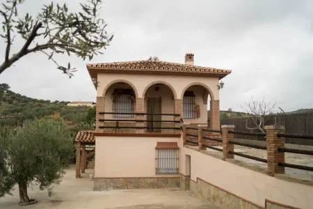 Casa Los Olivos, Villa rustique avec piscine à Alora - Photo 10