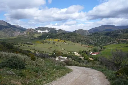 Las Cerezas, Villa ensoleillée à Casares avec piscine - Photo 31