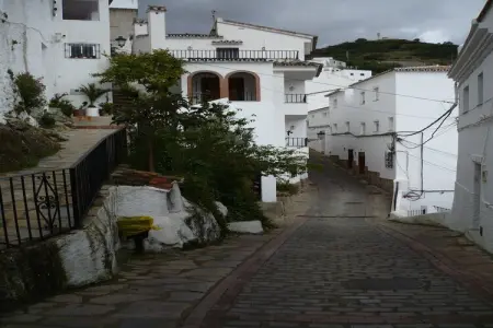 Las Cerezas, Villa ensoleillée à Casares avec piscine - Photo 32