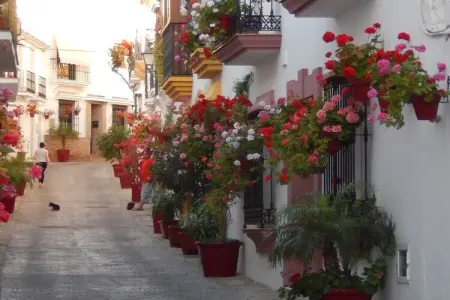 Las Cerezas, Villa ensoleillée à Casares avec piscine - Photo 36