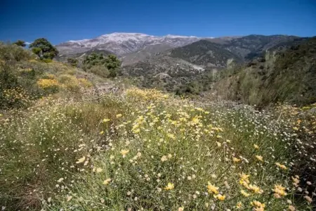 Cortijo las Monjas, Chalet calme sur la Costa del Sol - Photo 39