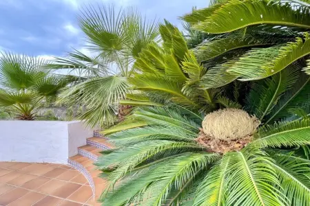 Casa Mirador, Gîte à Maro avec vue mer et montagne - Photo 36
