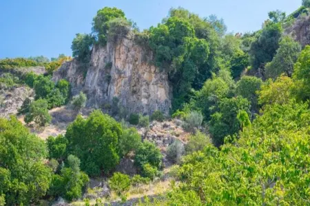 Cortijo Albaricoque, Appartement troglodyte Lopera avec vue - Photo 27