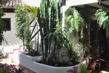 Apartamentos Monasterio de San Antonio 2, Appartement près de la mer réservé aux adultes - Photo 15