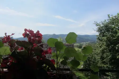 Casa Rural Astobieta, Belle maison de vacances près de Bilbao et la côte - Photo 24