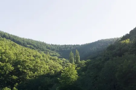 La Roche, Maison de vacances avec vue sur les montagnes - Photo 19