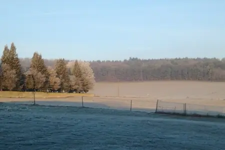 La Petite villa, Gîte à la campagne de Nouart - Photo 15